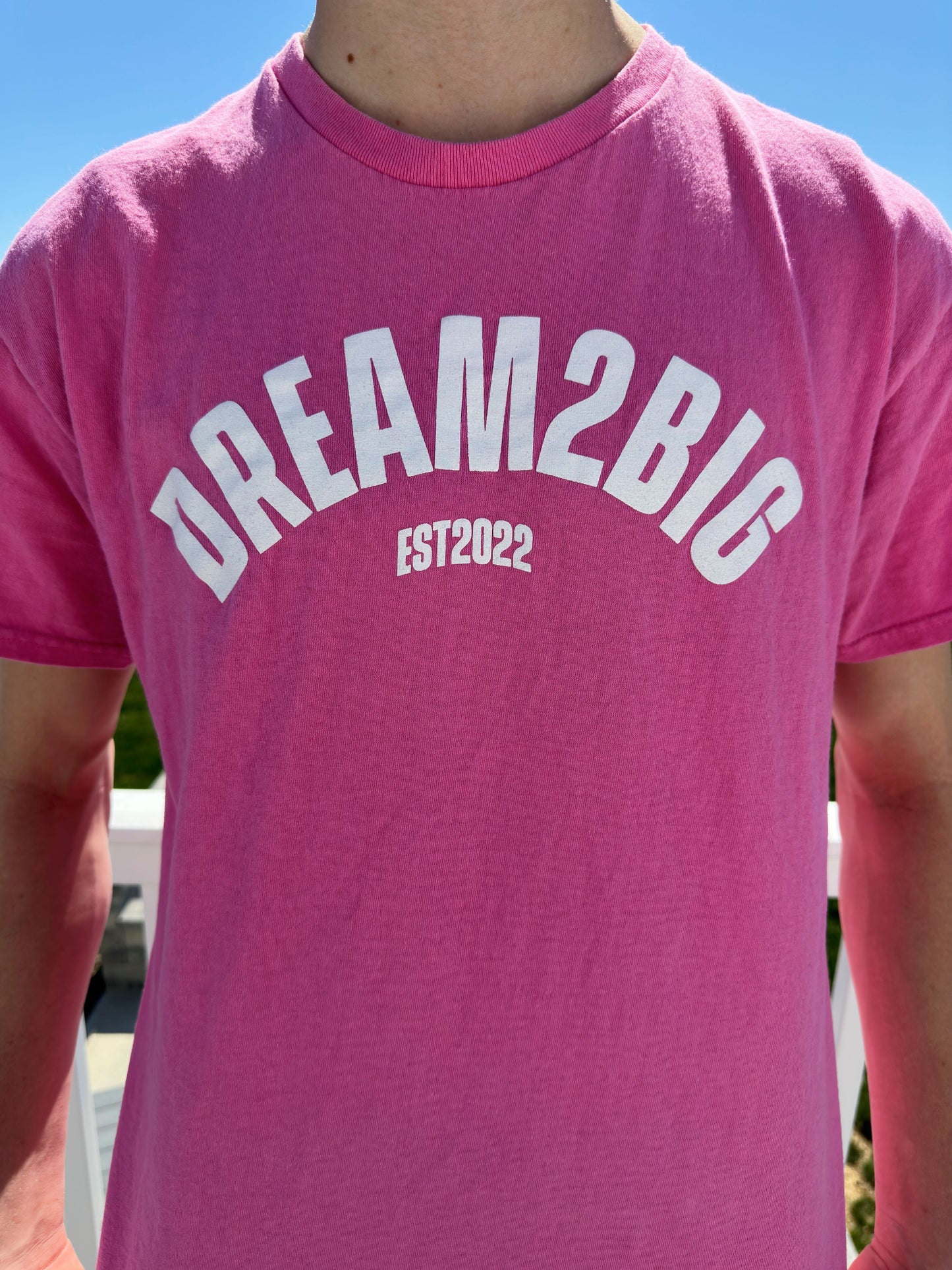 *LIVE* Pink Dream 2 Big Graphic T-Shirt (Vol. 3)