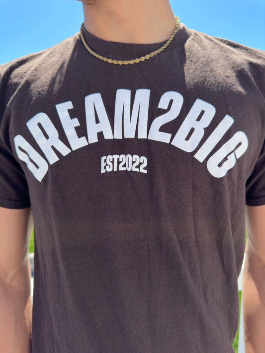 *LIVE* Brown Dream 2 Big Graphic T-Shirt (Vol. 3)